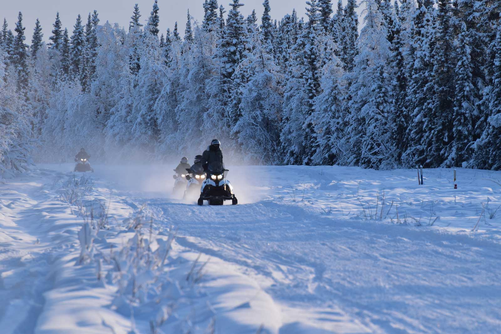 snowmobile tours fairbanks alaska